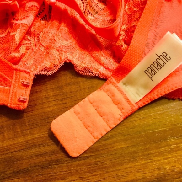 Panache Andorra bra 38DD - Picture 4 of 6